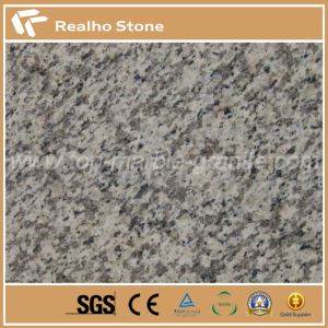 Naturale Granite Stone Tiger Skin White per piastrelle da pavimento quadrate all'aperto