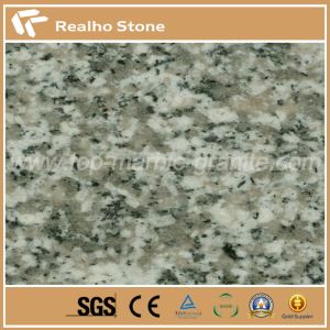 Piastrelle da pavimento grigio bianco Rosa Beta Granite Stone G623 Taglia a taglia